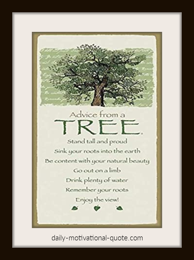 tree advice quote